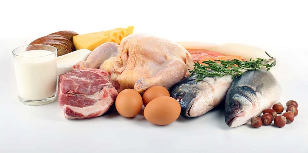 Protein rich foods
