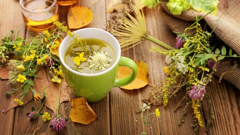 6 Top Herbs That Can Help You in Fighting Anxiety